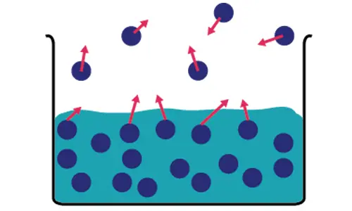 cau tao he thong loc nuoc di