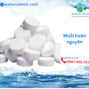 Muối hoàn nguyên Ấn Độ hoàn nguyên tái tạo khả năng trao đổi ion của vật liệu