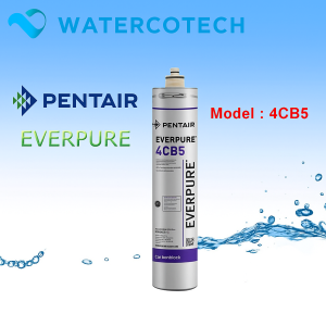 Lõi lọc nước Everpure 4CB5