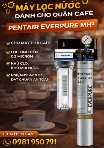 Máy Lọc Nước Máy Pha Café Pentair Everpure MH2+Lọc Thô A10